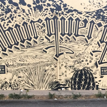 black and white line mural desert basin and lettering