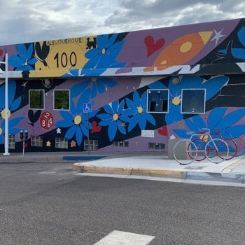 mural of flower space collage