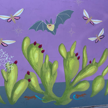 mural of bats and prickly pear