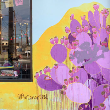 mural of sunset prickly pear